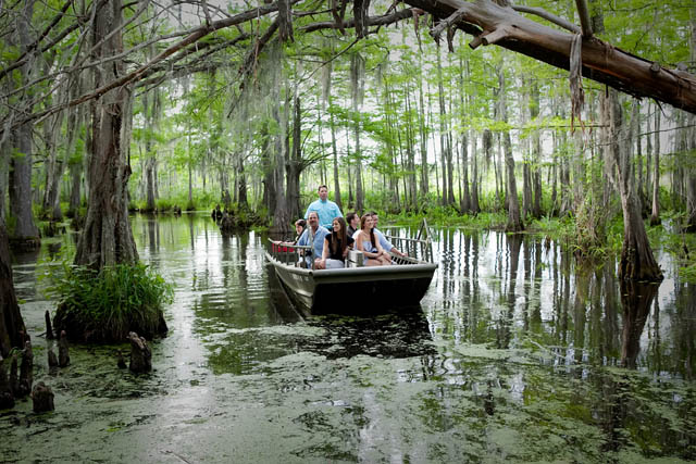 Things To Do in The Northshore, St. Tammany Parish | Tour Louisiana